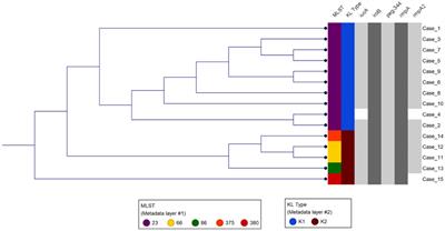 Clinical and genomic characterization of hypervirulent Klebsiella pneumoniae (hvKp) infections via passive surveillance in Southern California, 2020–2022